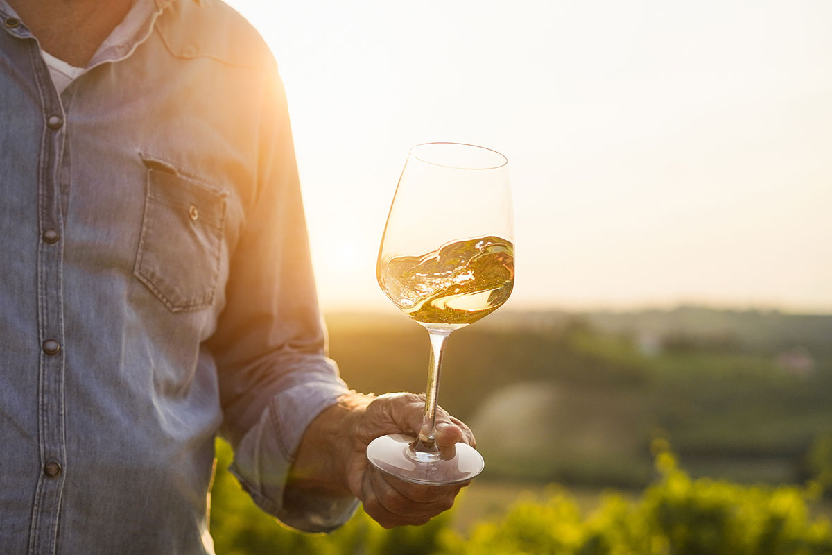 ワインの歴史：起源から現代までを紐解く